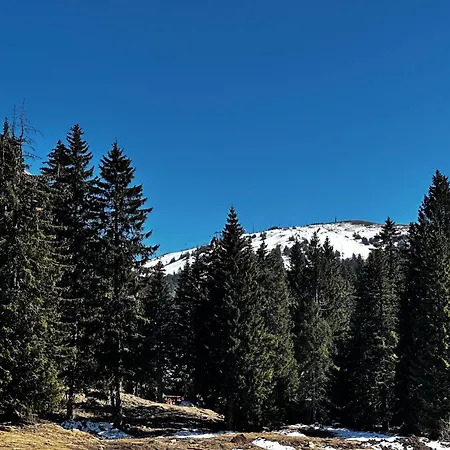 Konaci 25 Kopaonik